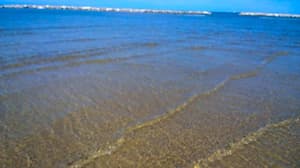 thumbnail: General view