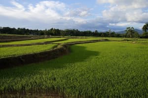 thumbnail: View from property