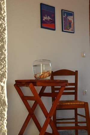 thumbnail: In-room dining