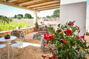 thumbnail: Terrace/patio