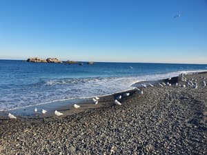 thumbnail: Beach/ocean view