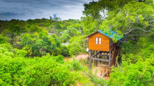 thumbnail: Building design