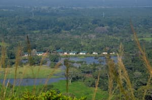thumbnail: Aerial view