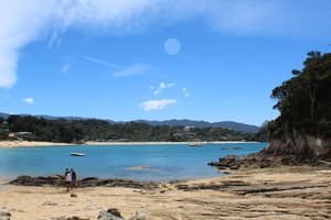 thumbnail: Beach