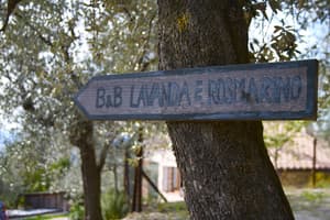 thumbnail: Exterior detail