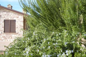thumbnail: Exterior detail