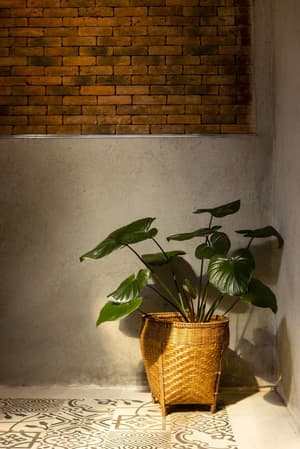 thumbnail: Interior