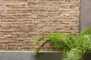 thumbnail: Interior