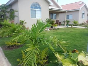 thumbnail: Garden