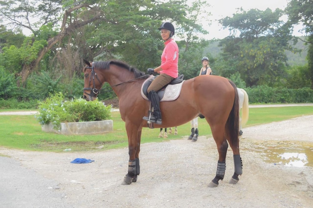 Horseback riding