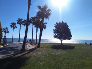 thumbnail: Beach