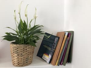 thumbnail: Interior