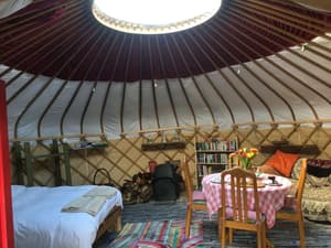 thumbnail: In-room dining