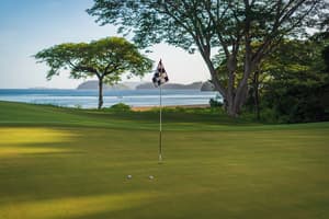 thumbnail: Golf