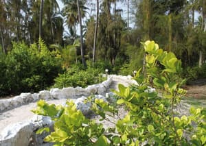 thumbnail: Garden