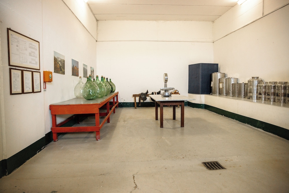 Winery