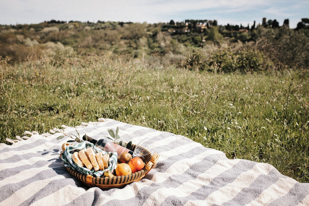 BBQ/picnic area