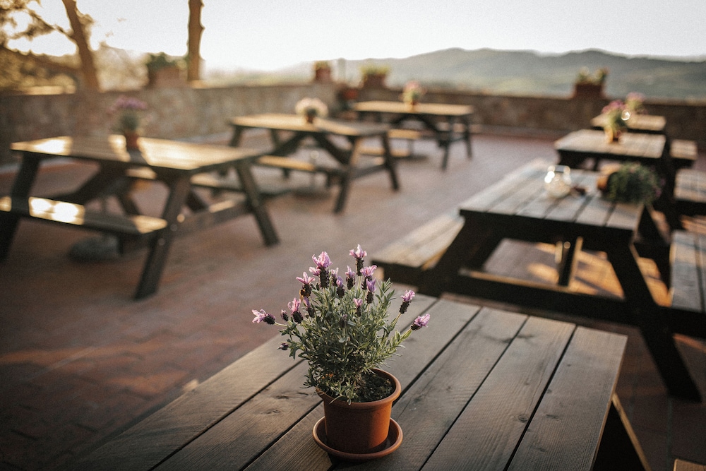 Rooftop terrace