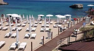 thumbnail: General view