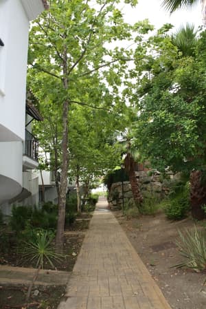 thumbnail: Property grounds