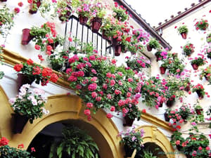 thumbnail: Front of property