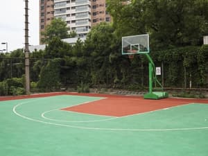 thumbnail: Basketball court