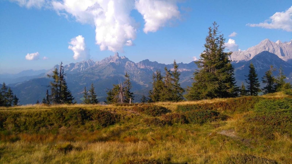 Children's activities