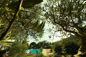 thumbnail: Property grounds