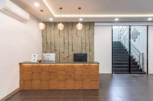 thumbnail: Reception