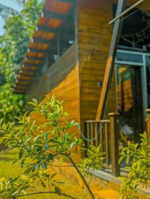 thumbnail: 623960925.jpg