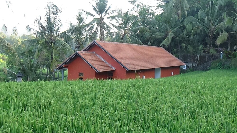 Land view from property