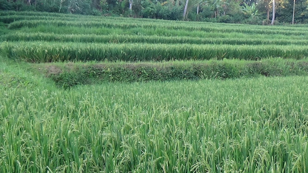 Land view from property