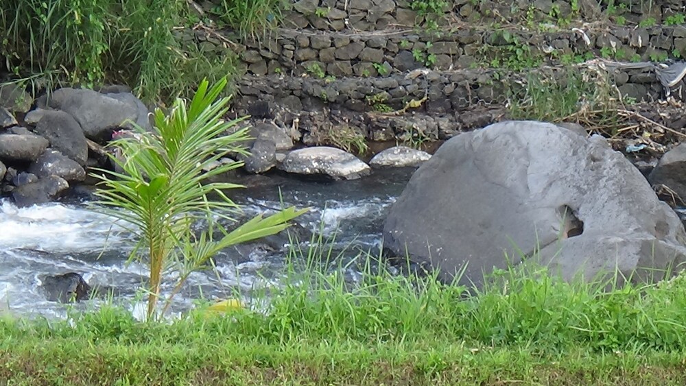 Land view from property