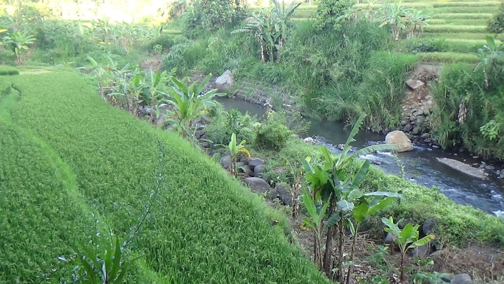 Land view from property