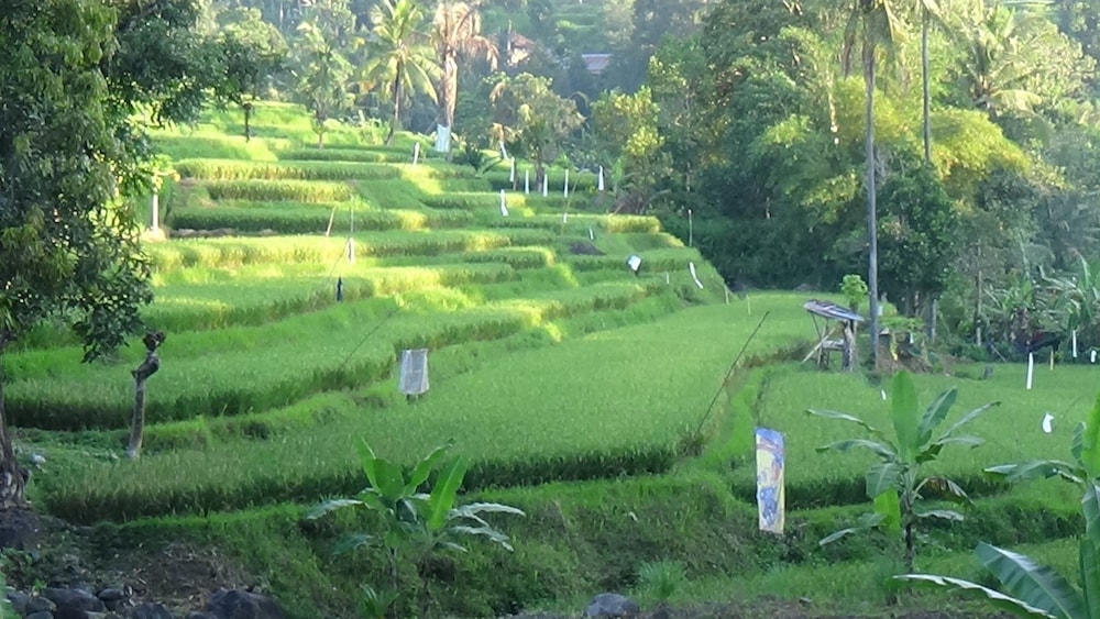 Land view from property