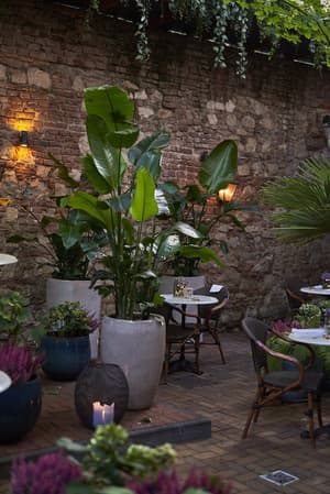thumbnail: Garden