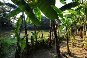 thumbnail: Property grounds