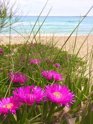thumbnail: Beach