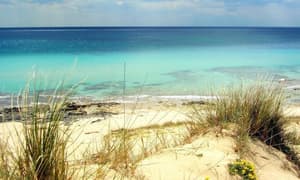 thumbnail: Beach