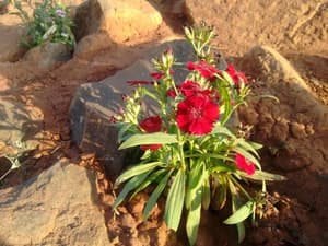 thumbnail: General view