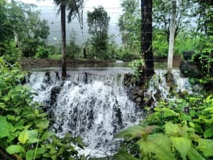 thumbnail: General view