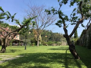 thumbnail: General view