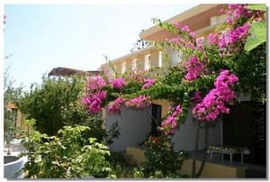 thumbnail: General view