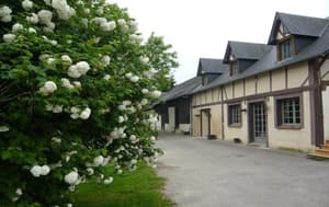 thumbnail: General view