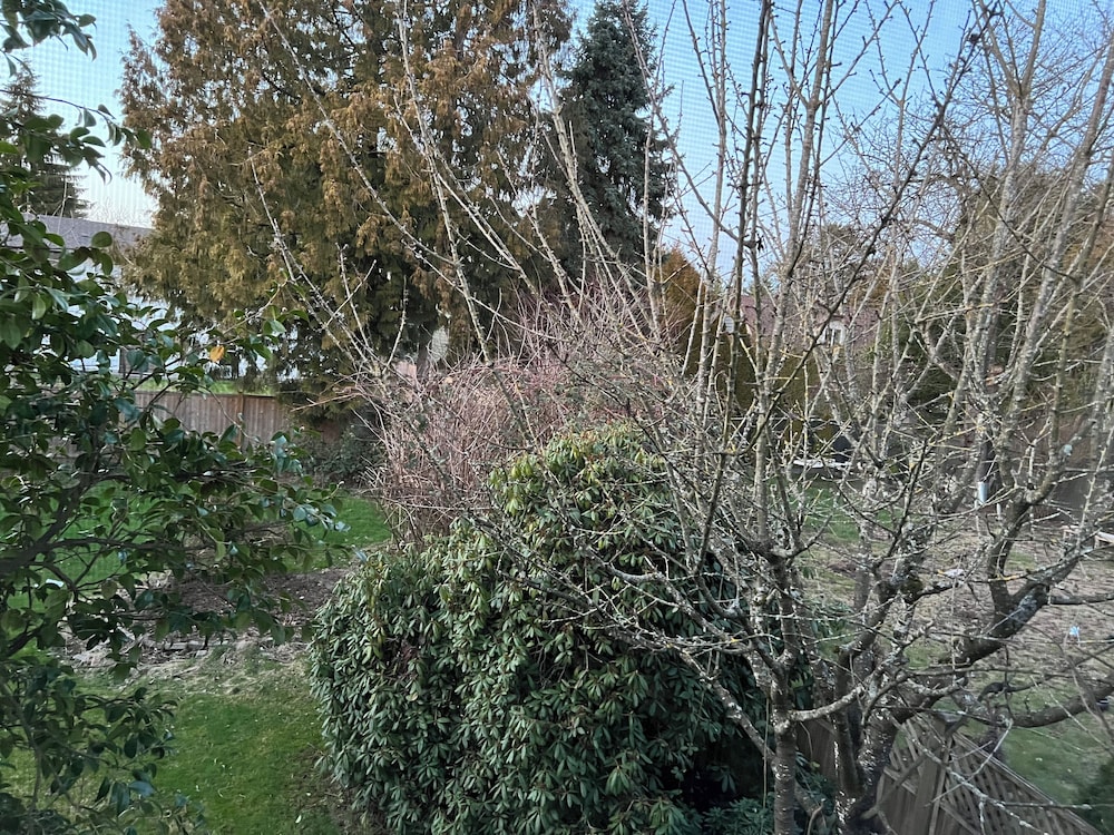View from room