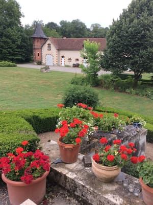 thumbnail: Garden