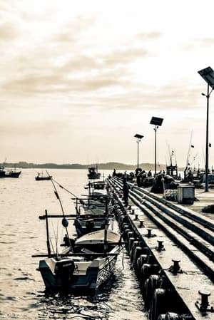 thumbnail: Dock