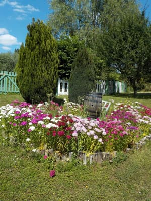 thumbnail: General view