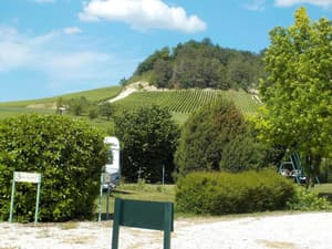 thumbnail: General view