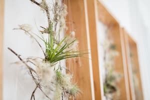 thumbnail: In-room dining